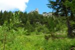 2014-07-05_Laengental-N-Hochweg (571). JPG